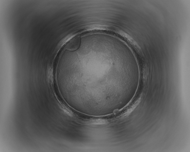 X0000113631113200909181511