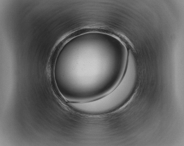 X0000113631114200909181511