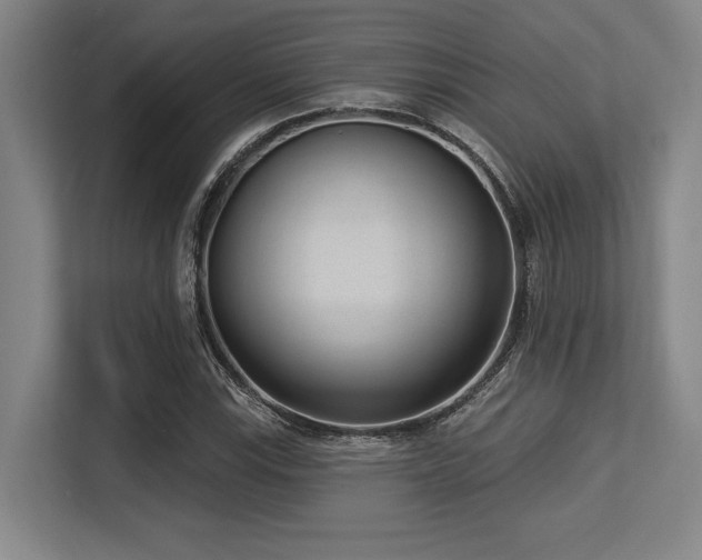 X0000113631115200909181511