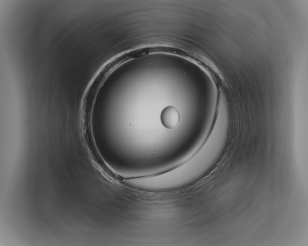 X0000113631116200909181511