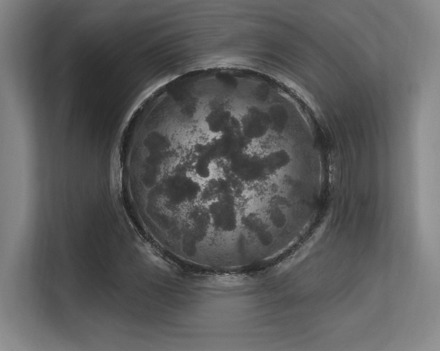 X0000113631117200909181511