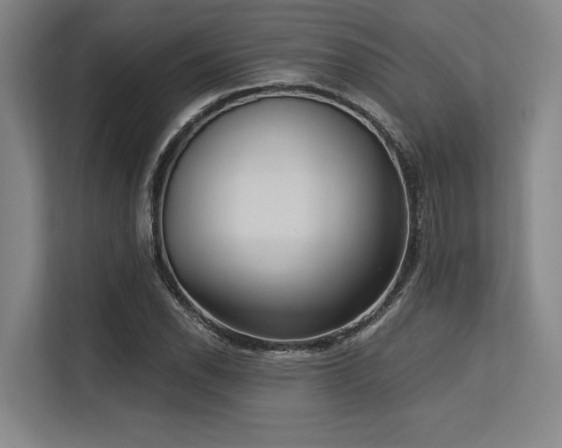 X0000113631118200909181511