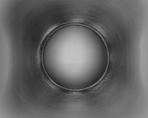 X0000113631119200909181511