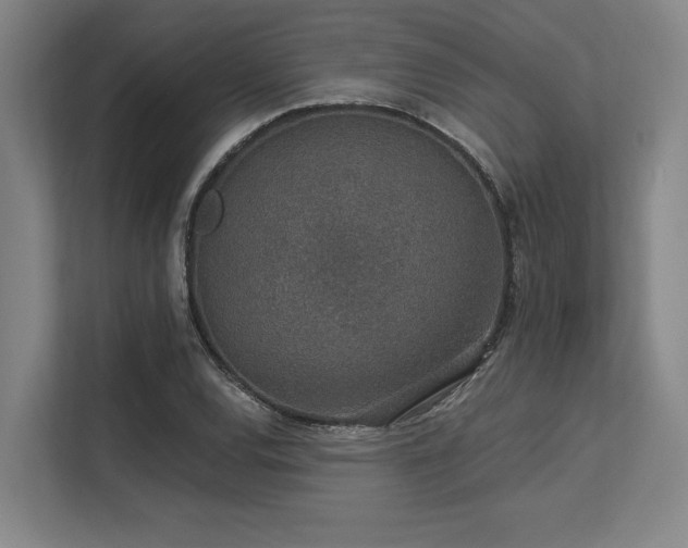 X0000113631120200909181511