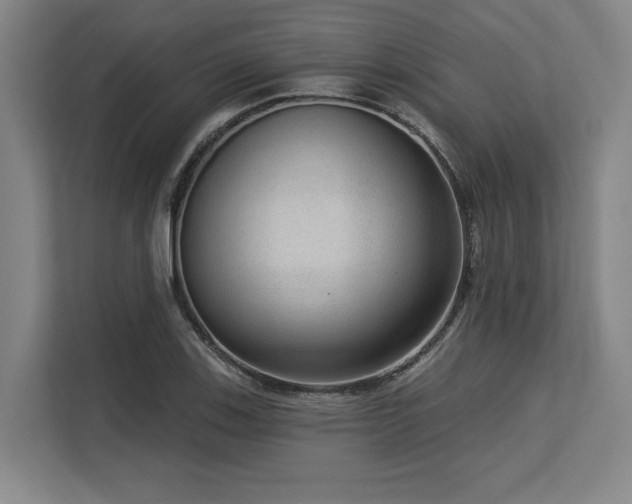 X0000113631123200909181511