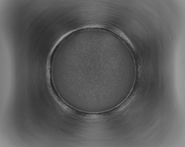 X0000113631124200909181511