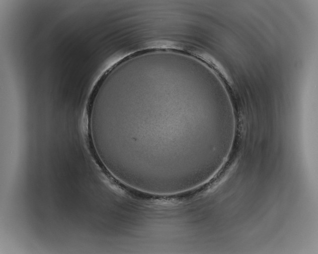 X0000113631125200909181511
