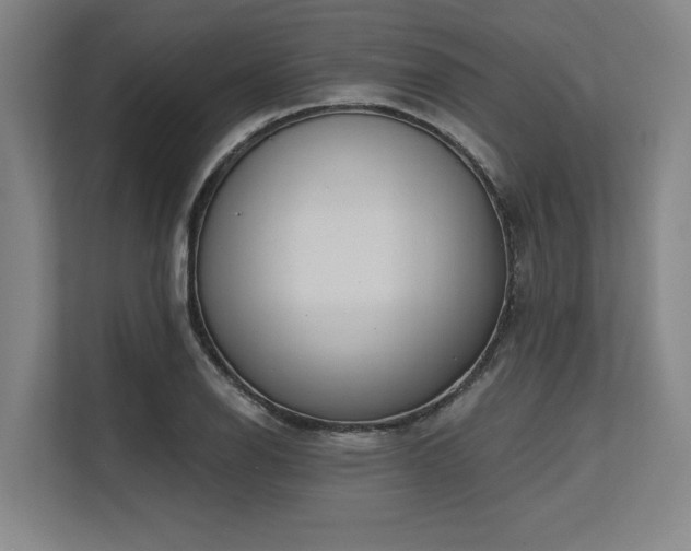 X0000113631126200909181511