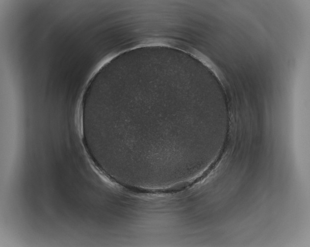 X0000113631127200909181511