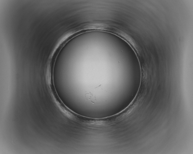 X0000113631131200909181511