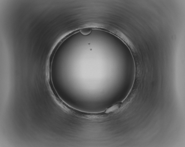 X0000113631132200909181511