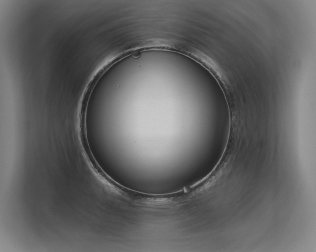 X0000113631135200909181511