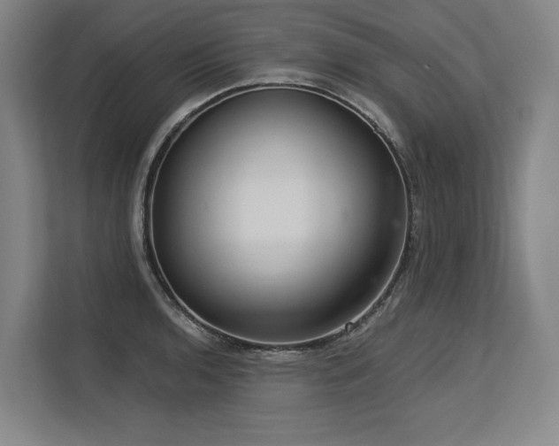 X0000113631136200909181511