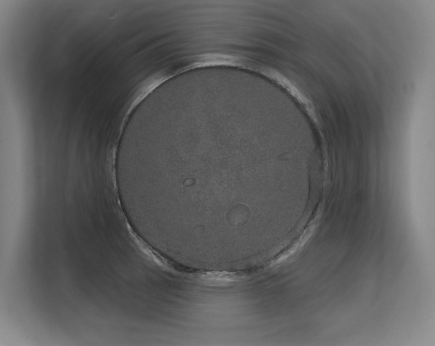 X0000113631137200909181511