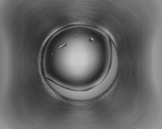 X0000113631138200909181511
