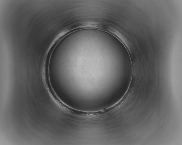 X0000113631139200909181511