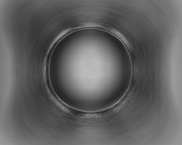 X0000113631142200909181511