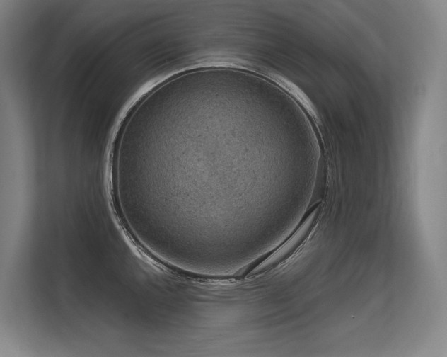 X0000113631144200909181511