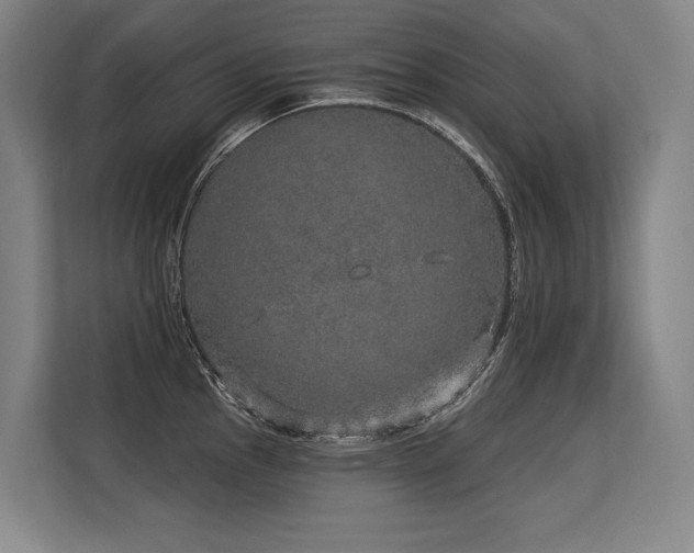 X0000113631145200909181511