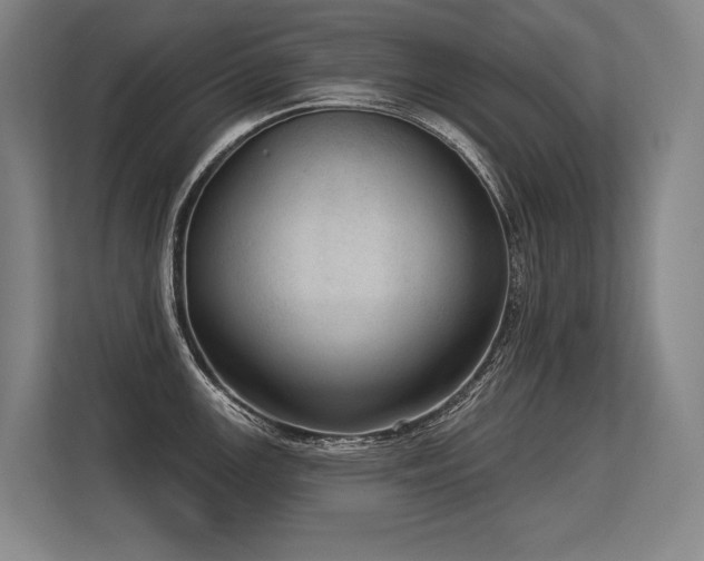 X0000113631147200909181511