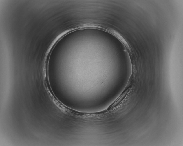 X0000113631148200909181511