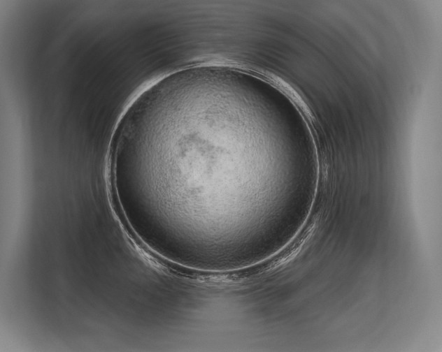 X0000113631149200909181511