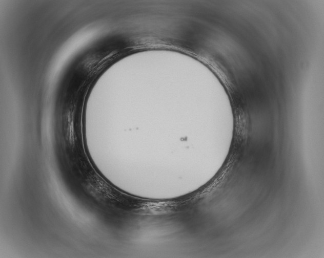 X0000113631150200909181511