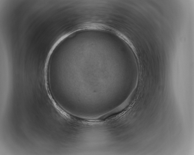 X0000113631152200909181511
