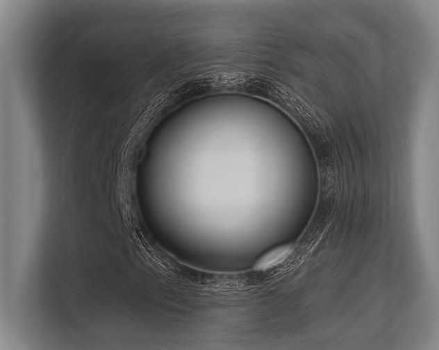 X0000113631153200909181511