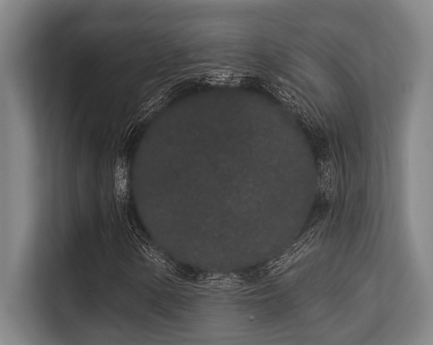 X0000113631154200909181511