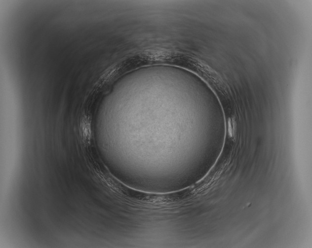 X0000113631155200909181511