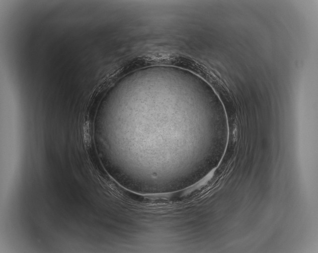 X0000113631156200909181511