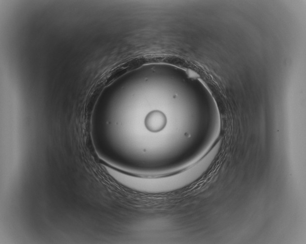 X0000113631157200909181511