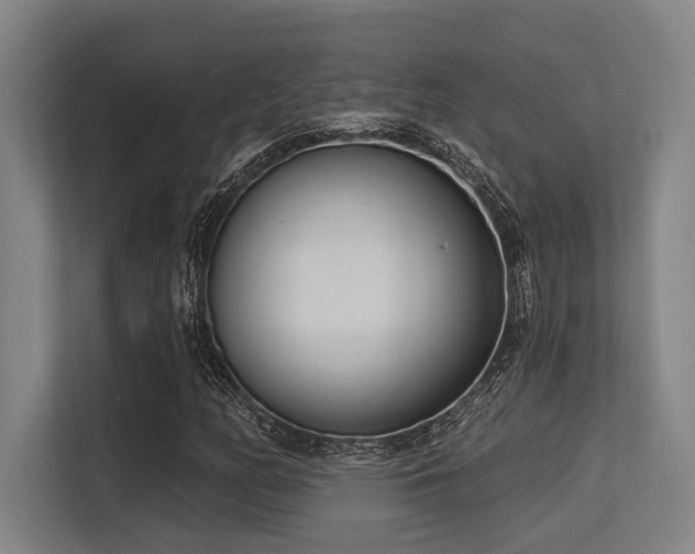 X0000113631158200909181511