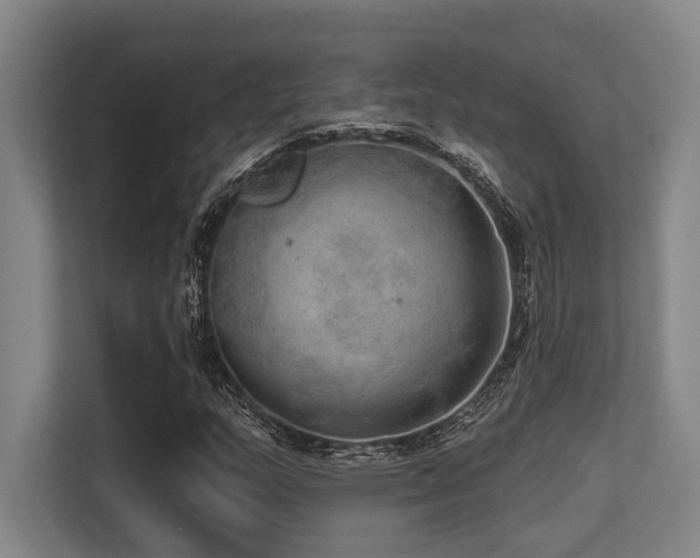 X0000113631159200909181511