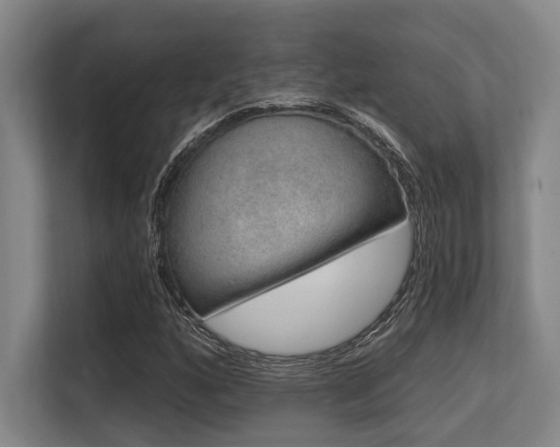 X0000113631160200909181511