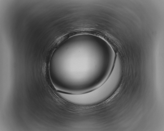 X0000113631161200909181511