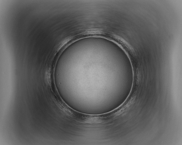 X0000113631162200909181511