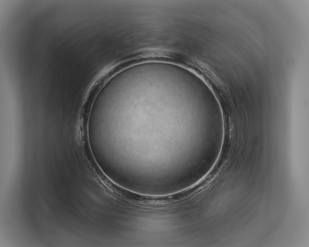 X0000113631164200909181511