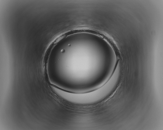 X0000113631167200909181511