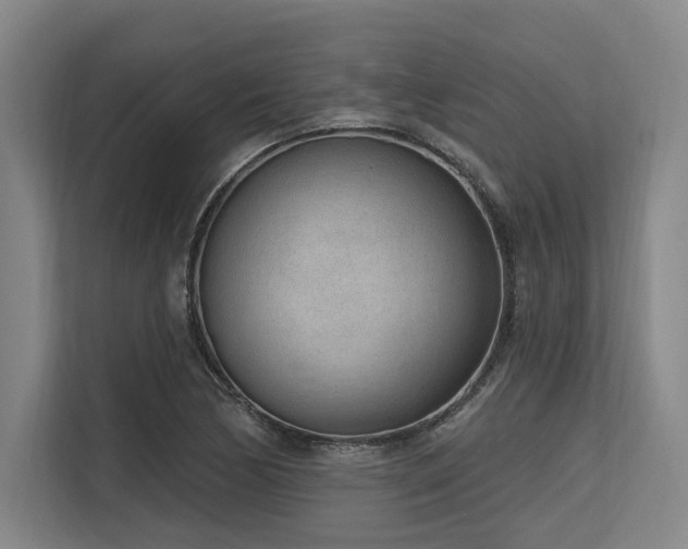 X0000113631170200909181511