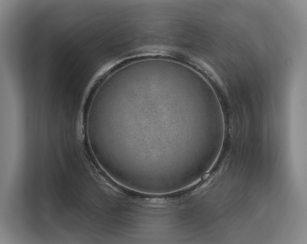 X0000113631172200909181511