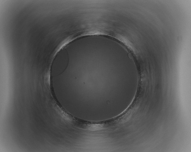 X0000113631173200909181511