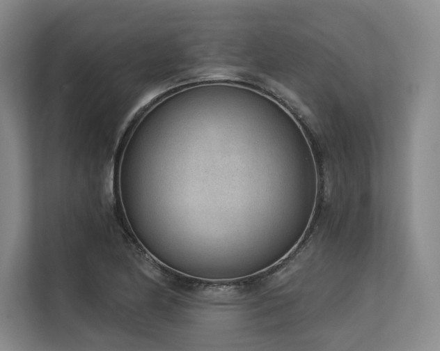 X0000113631174200909181510