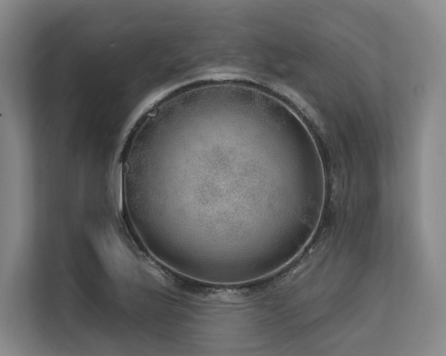 X0000113631175200909181510