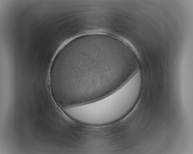 X0000113631184200909181510
