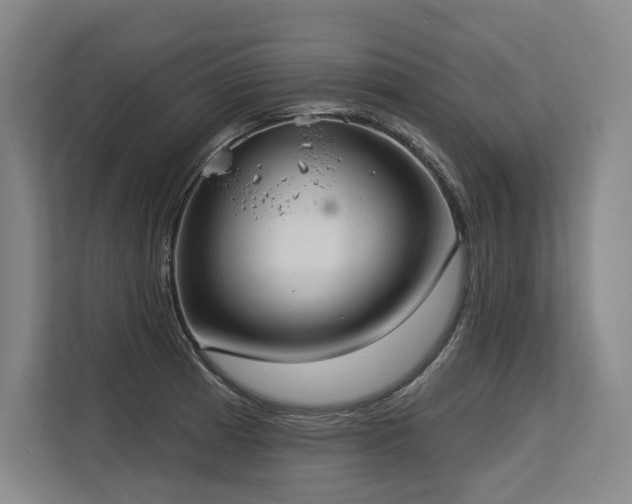 X0000113631185200909181510