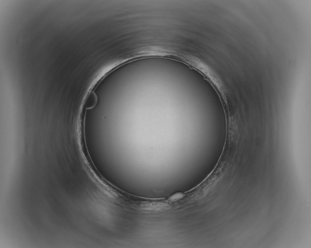 X0000113631187200909181510