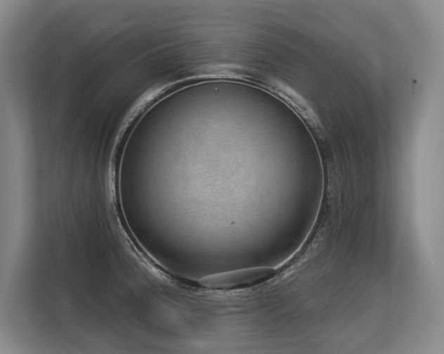 X0000113631188200909181510