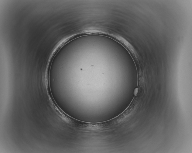 X0000113631191200909181510